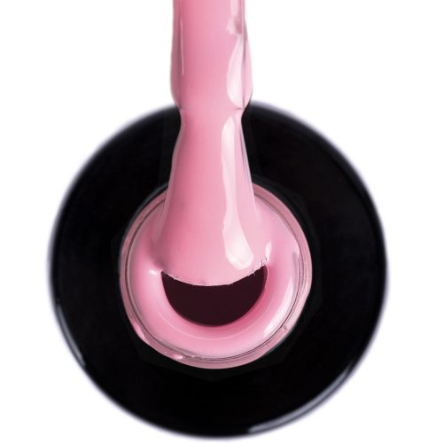 NTN Premium New - 03