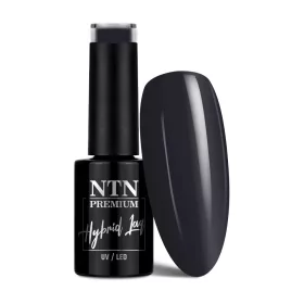 NTN Premium New - 101