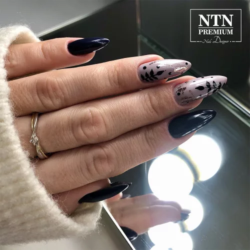 NTN Premium New - 101
