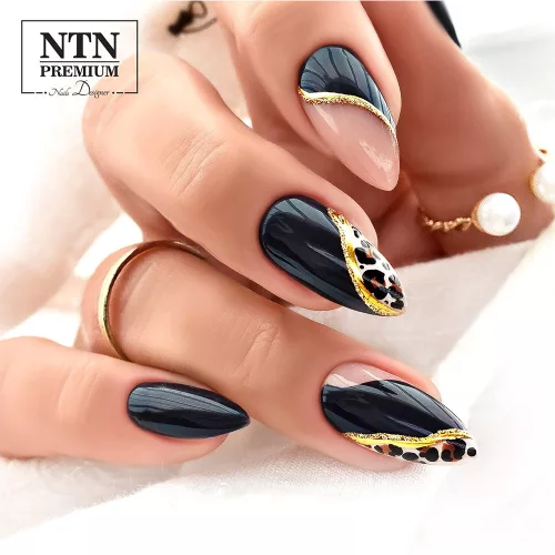 NTN Premium New - 101