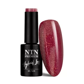 NTN Premium New - 102
