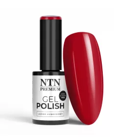 NTN Premium New - 103