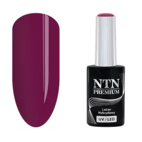 NTN Premium New - 104