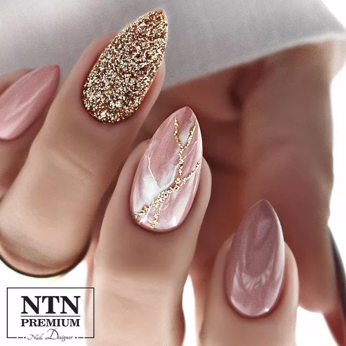 NTN Premium New - 106