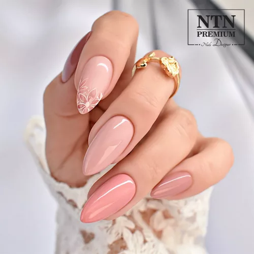 NTN Premium New - 106