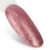 NTN Premium New - 107