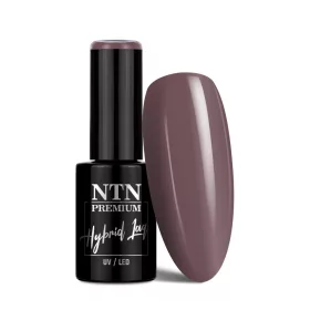 NTN Premium New - 11