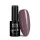 NTN Premium New - 11