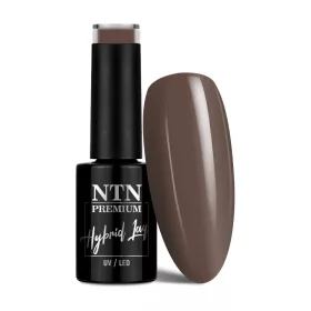 NTN Premium New - 111