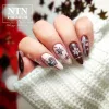 NTN Premium New - 112