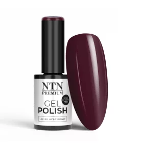 NTN Premium New - 113