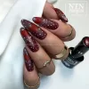 NTN Premium New - 113