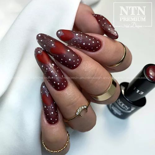 NTN Premium New - 113