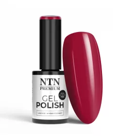 NTN Premium New - 114
