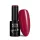 NTN Premium New - 114