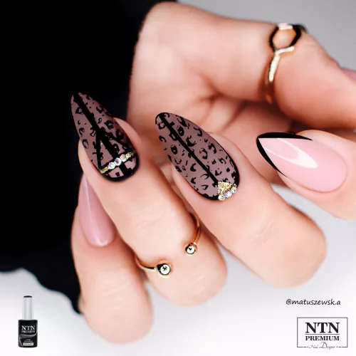 NTN Premium New - 117