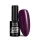 NTN Premium New - 118