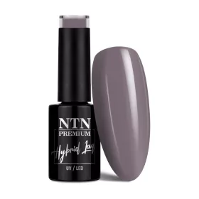 NTN Premium New - 121