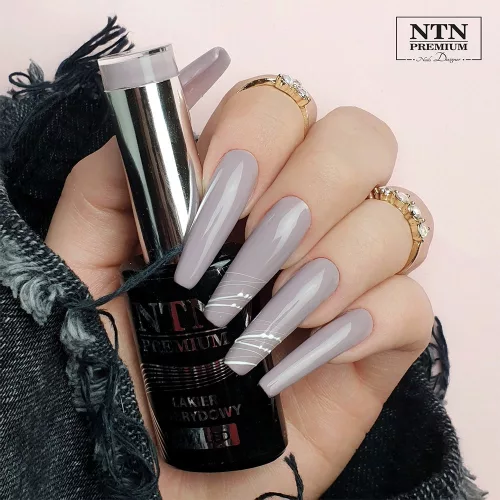 NTN Premium New - 121