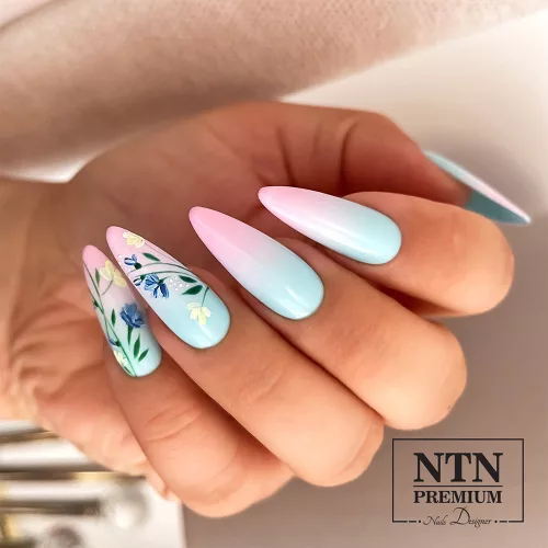 NTN Premium New - 124