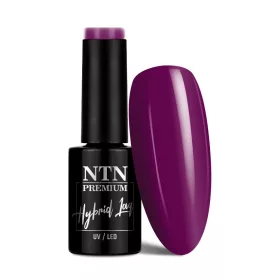 NTN Premium New - 131