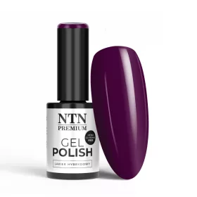 NTN Premium New - 132