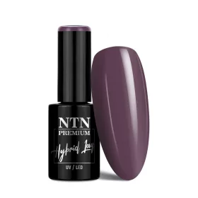 NTN Premium New - 134