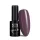 NTN Premium New - 134
