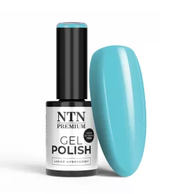NTN Premium New - 136