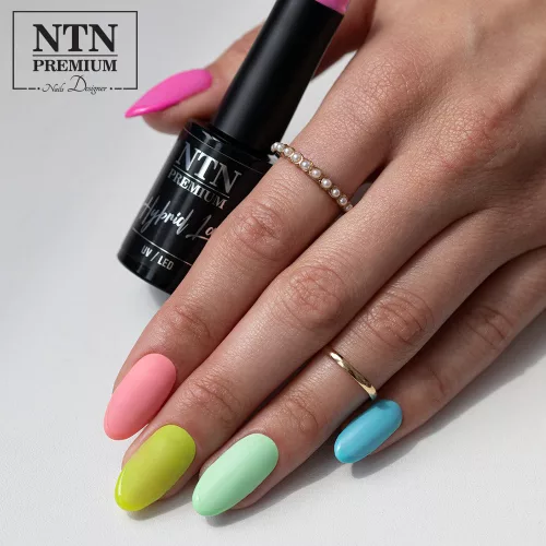 NTN Premium New - 136