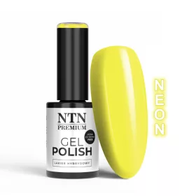 NTN Premium New - 143