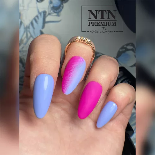 NTN Premium New - 145