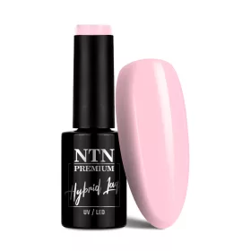 NTN Premium New - 148