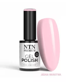 NTN Premium New - 148