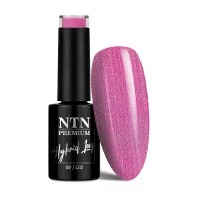 NTN Premium New - 149