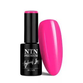 NTN Premium New - 151