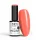 NTN Premium New - 152