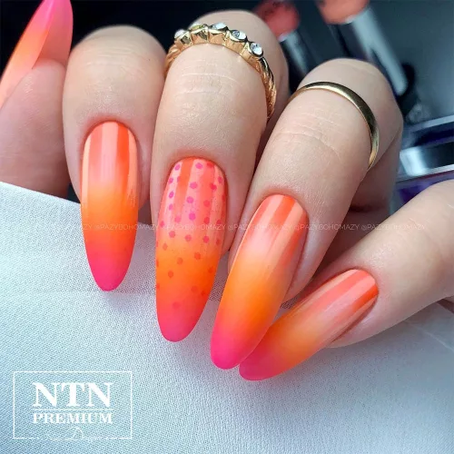NTN Premium New - 152