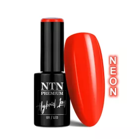 NTN Premium New - 153