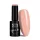 NTN Premium New - 16