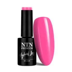 NTN Premium New - 161