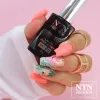 NTN Premium New - 164