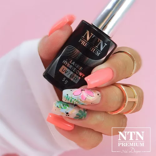 NTN Premium New - 164