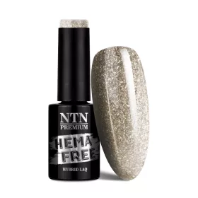 NTN Premium New - 169