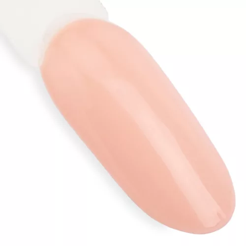 NTN Premium New - 16