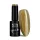 NTN Premium New - 170