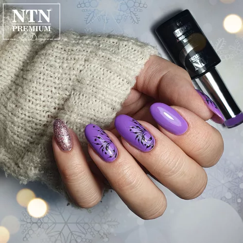 NTN Premium New - 173