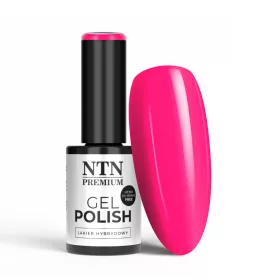 NTN Premium New - 174