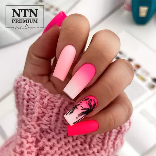 NTN Premium New - 174