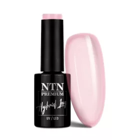 NTN Premium New - 176